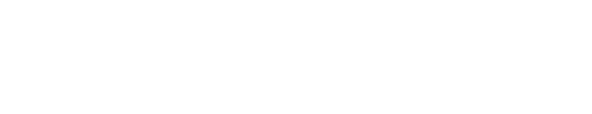 VISDEC